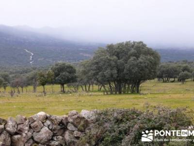 Puentes del Río Manzanares;calidad de viajes;profesionalidad